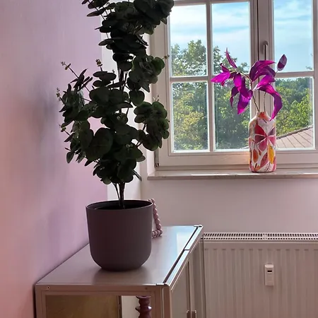Aner 9 Elegantes Fuer Bis Zu 8 Personen Mit Infrarotsauna Und Grosszuegiger, Offener Loggia * Drezno